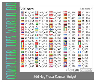 add flag visitor counter
