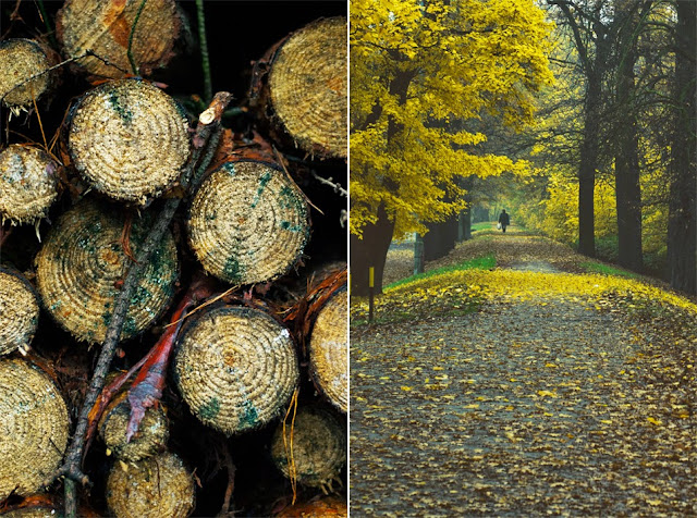 Park Szczytnicki Wrocław