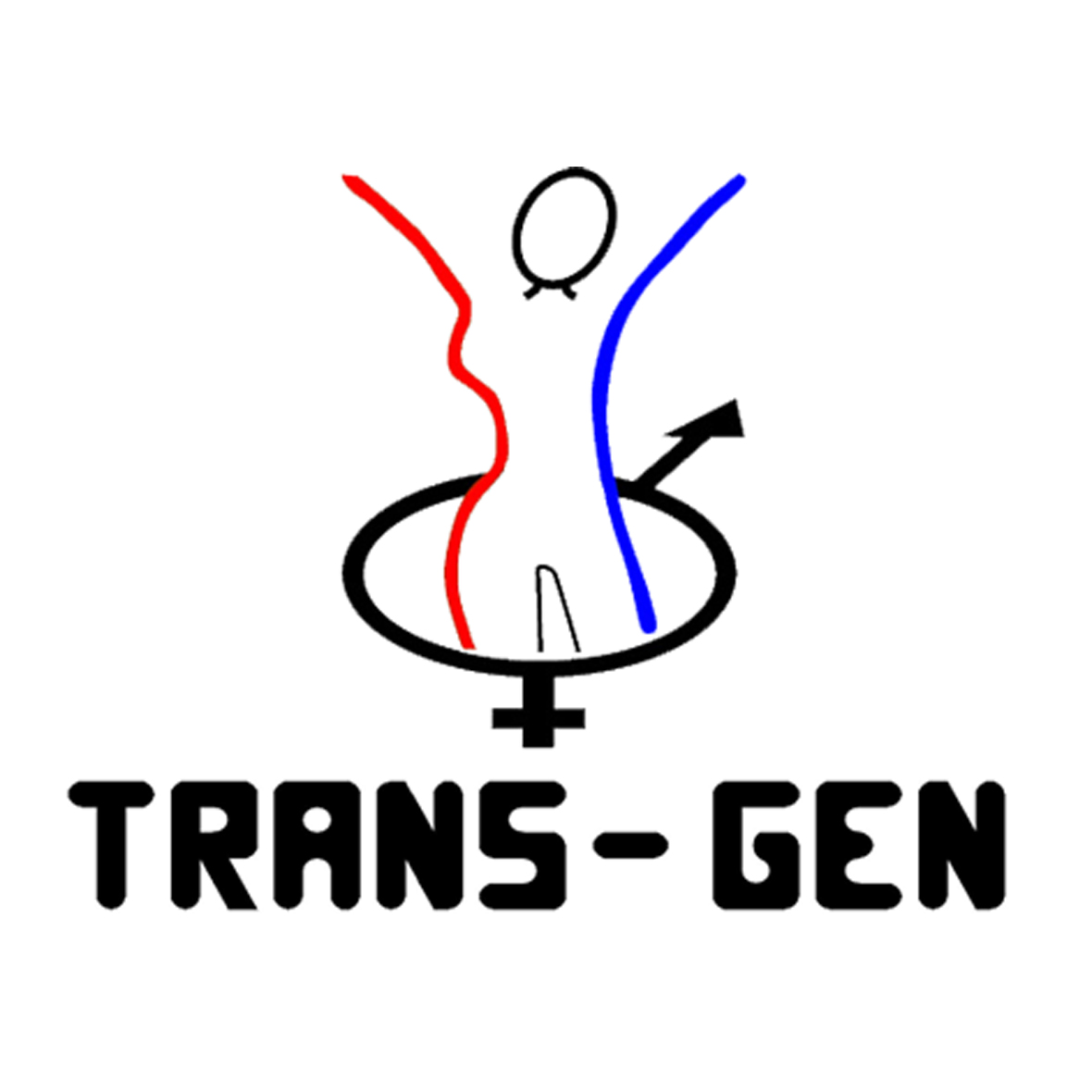 Transgenero Y Transexual
