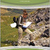 Basic Geological Mapping, Fifth Edition By Richard J. Lisle, Peter Brabham, John W. Barnes