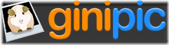 ginipic_logo