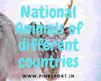 National Animals of different countries