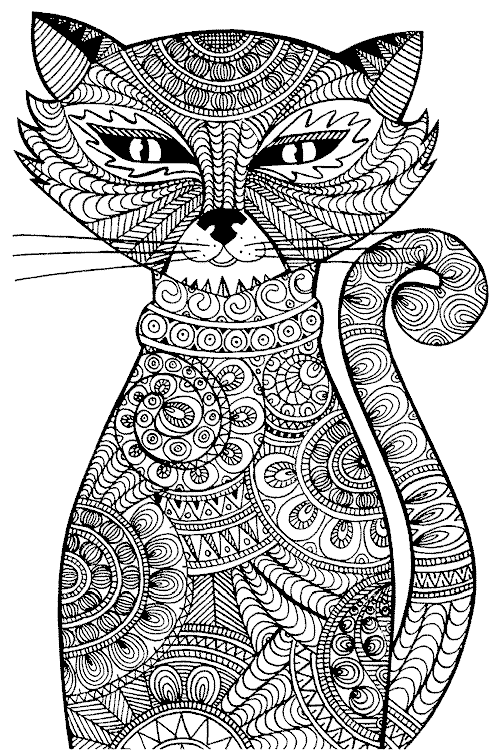 gambar binatang kucing