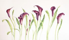 Calla lily painting 