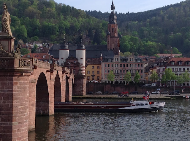 Heidelberg Altstadtpanorama mit Hotel Holländer Hof