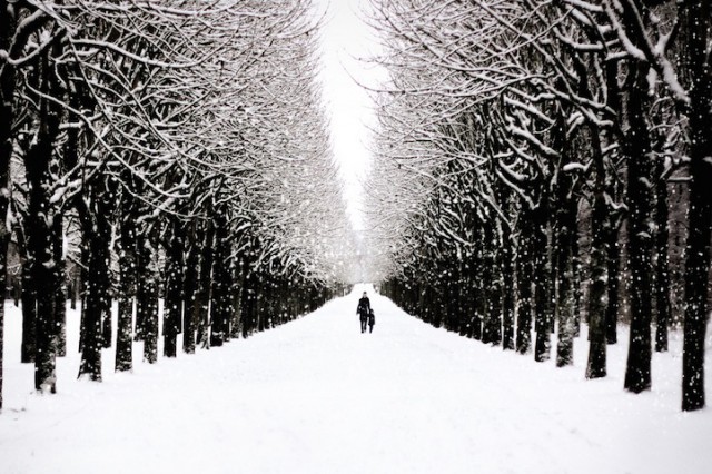 Paris, France - 19 Breathtaking Photos Of Winter Wonderlands Around The World