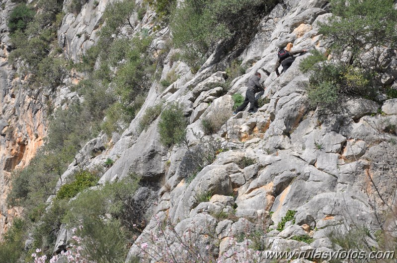 Subida al cerro Tavizna