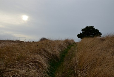 walking to the beach on a winter afternoon