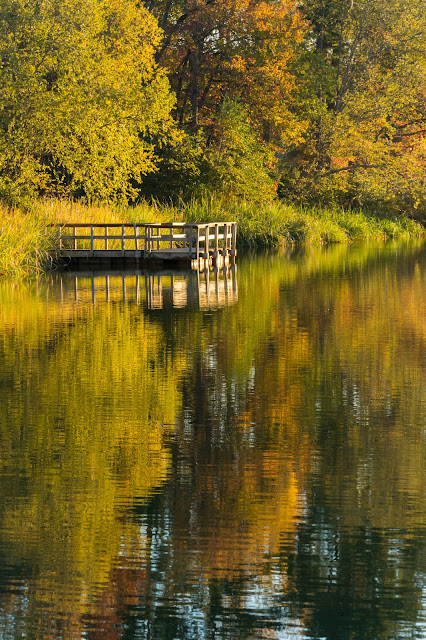 Tyler State Park Lake