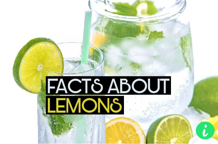 Lemon Facts