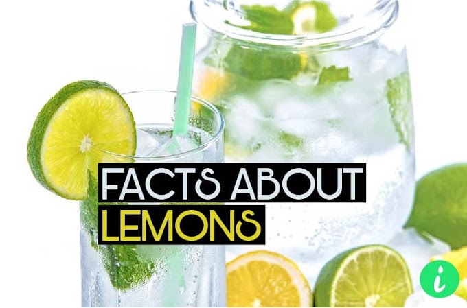 10 Juicy Facts About Lemons | Lemon Facts, Benefits - InfoHifi