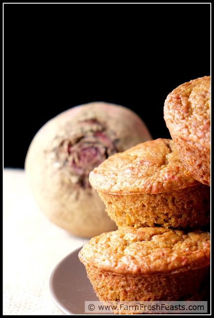 http://www.farmfreshfeasts.com/2015/07/oatmeal-orange-beet-blender-muffins.html