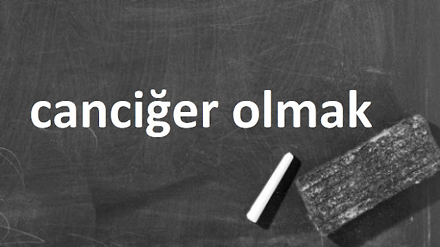 canciğer olmak