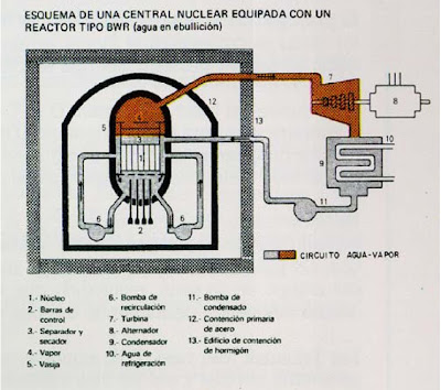 reactor nuclear bwr, reactor fukushima