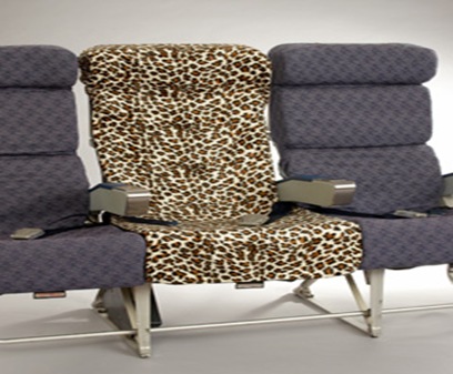Leopard_lrg
