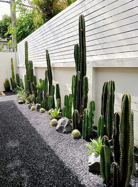Taman Kering