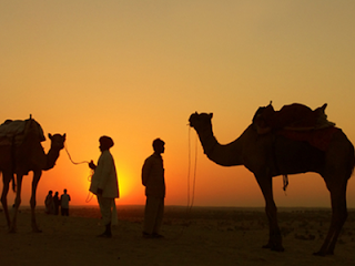 Rajasthan Tour