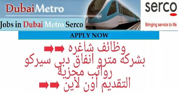 شركة سيركو للتوظيف