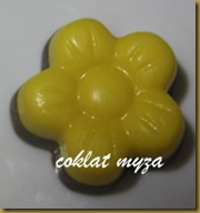 Coklat 6.4.2011 010