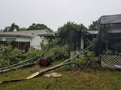 Storm Damage Friday, November 2, 2018