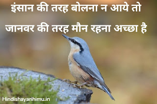 Positive Shayari