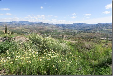 IMG_0780