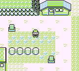 Pokemon Black Screenshot 02