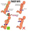 Correct Triceps Dips Tips