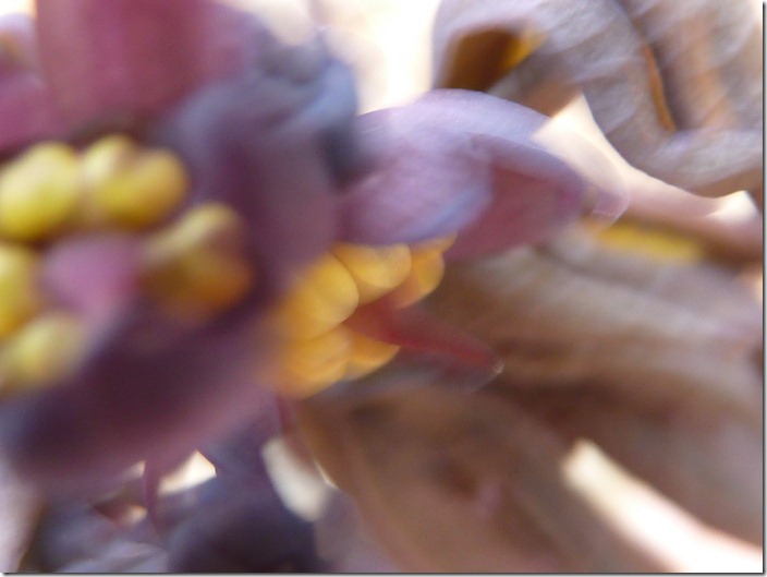 P1060244