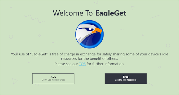 Welcome To EagleGet