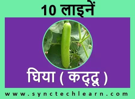 10 lines on bottle gourd in english