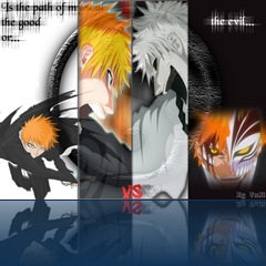 bleach411di8