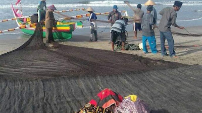 Bajamba Maelo Pukek , Tradisi Nelayan Tanjung Mutiara Ungkapkan Syukur 