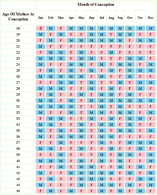 pregnancy calendar