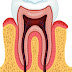 Histologie de la pulpe dentaire 