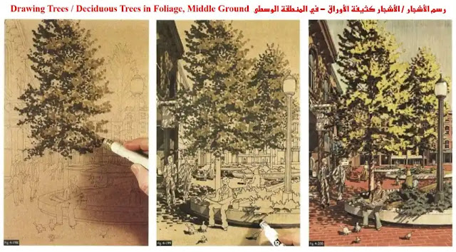 الرسم والتصوير / الأشجار كثيفة الأوراق في (المقدمة - الوسط)