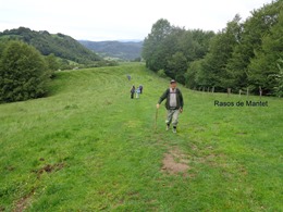 DSC00707