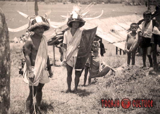 toraja culture