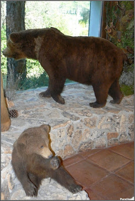 Pabellón de Caza del Parque de El Hosquillo (vista 2)