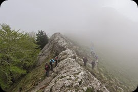 IMG_6760