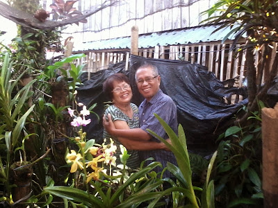 Hugging each other in an orchids garden - 2