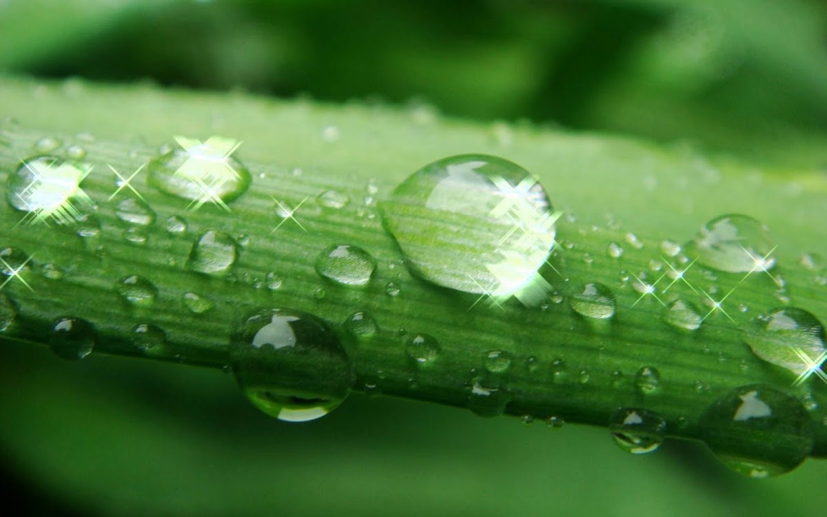 Amazing Water Drops Widescreen HD Wallpaper 8