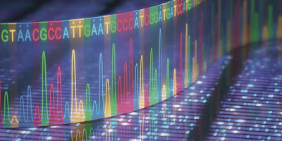 Next Generation Sequencing Market