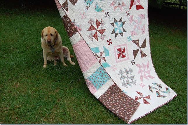 Blush Pinwheel Sampler_027