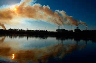 Contaminación al medio ambiente