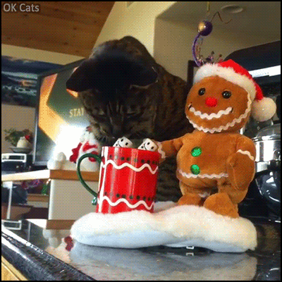 Christmas Cat GIF • Cat vs. Ginger bread man. Kitty trying to eat dices [ok-cats.com]
