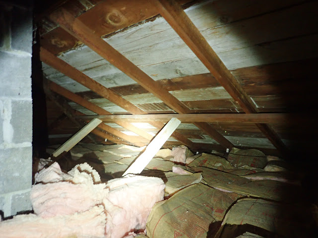 We do Full Attic Inspections at SPS Inspections of Olympia Washington