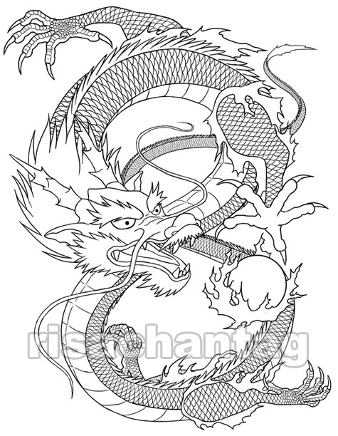 Dragon Tattoos Art