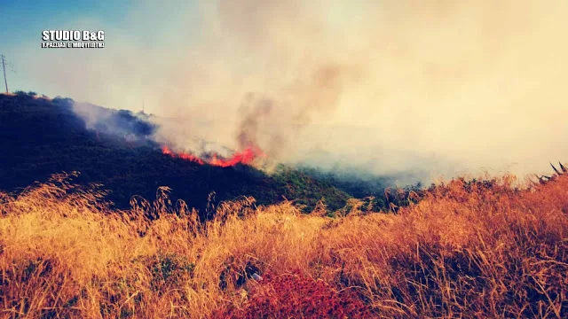 Πυρκαγιά στο Πλατάνι Αργολίδας