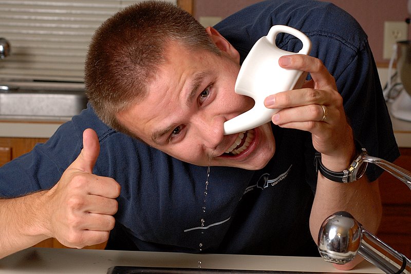 HOLLY GOES LIGHTLY: The NETI POT: Friend or Foe?